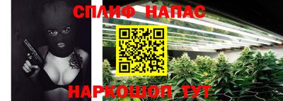 СК Кимры